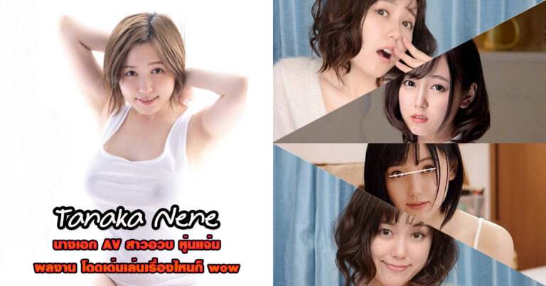 Tanaka Nene ประวัติ ดาราเอวี สาวอวบ อกโต หนังผู้ใหญ่ ยอดฮิต 18+